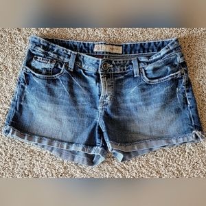 BKE Size 30 Shorts